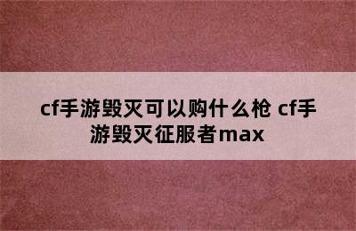 cf手游毁灭可以购什么枪 cf手游毁灭征服者max